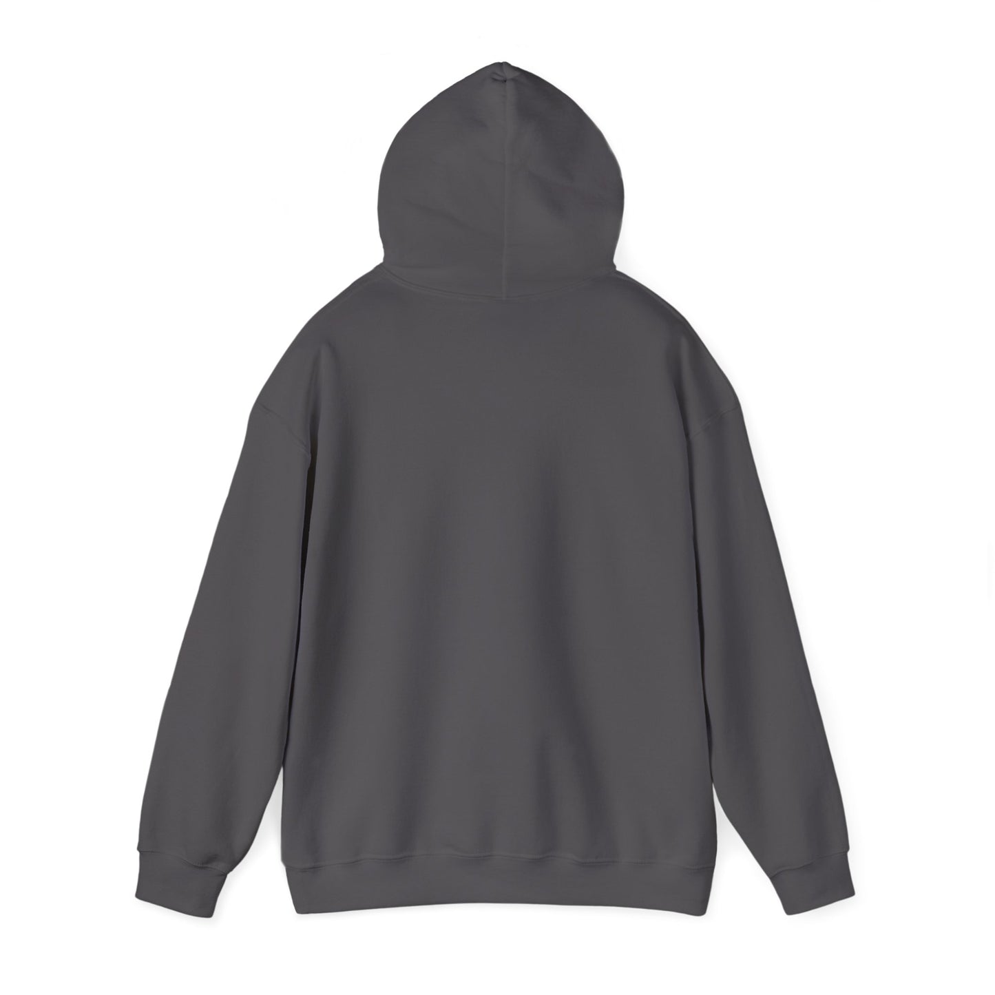 Phreestyle Transformation Hoodie